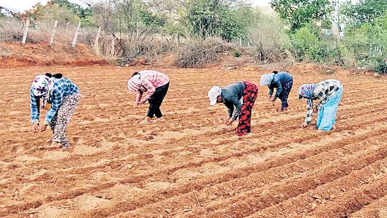 వానకాలం సాగు షురూ..