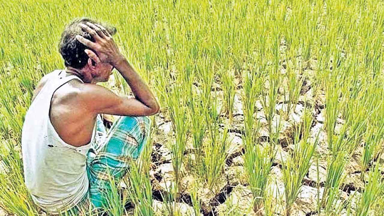 వంచన సరికాదు!