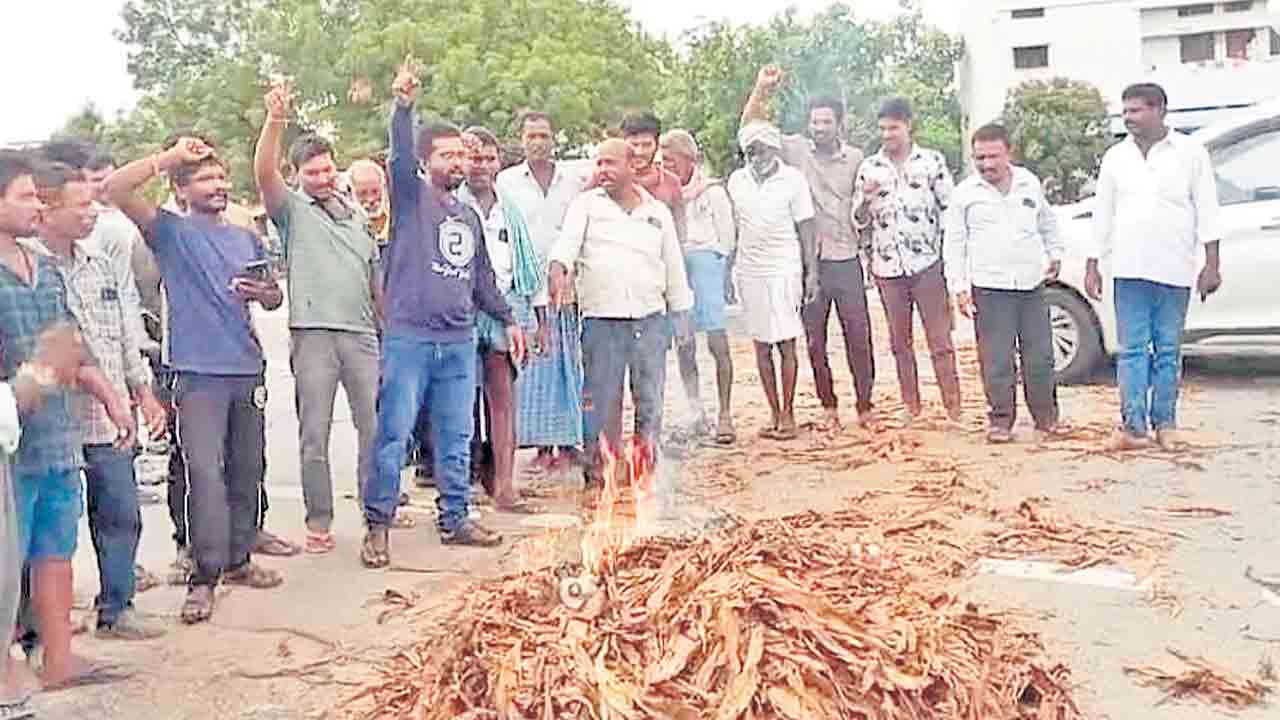 పొగాకు పంటకు నిప్పు