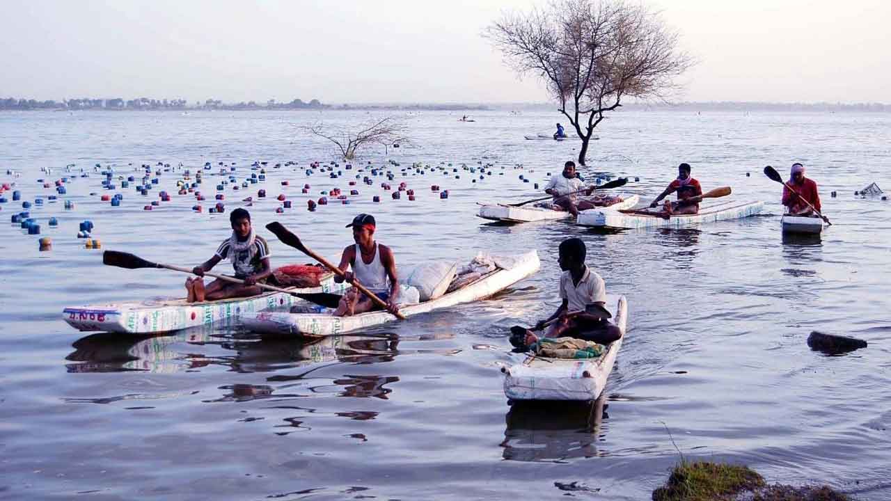 పాలేరులో పరిగ!