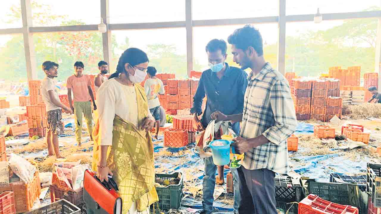 రసాయనాలతో మామిడి ప్యాకింగ్‌