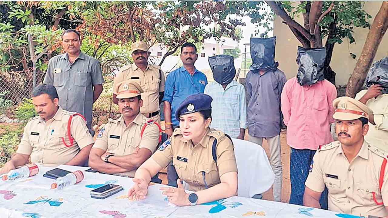 గంజాయి సాగుచేస్తున్న ముఠా అరెస్టు