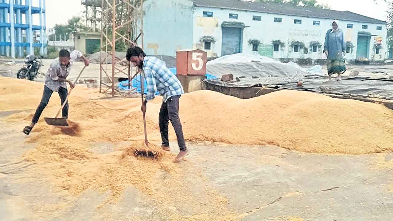 అకాల వర్షానికి తడిసిన ధాన్యం