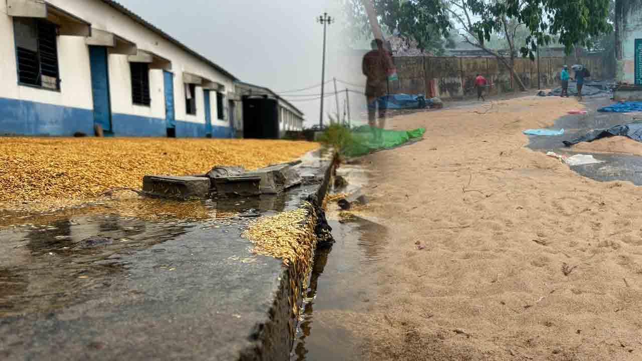 ధాన్యం కొనుగోలుపై రేవంత్‌ సర్కారు నిర్లక్ష్యం.. అన్నదాతకు శాపం