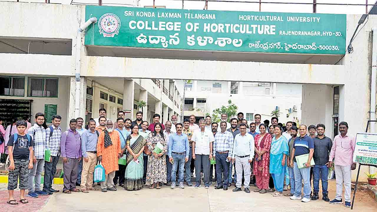 ఔషధ మొక్కలకు డిమాండ్‌