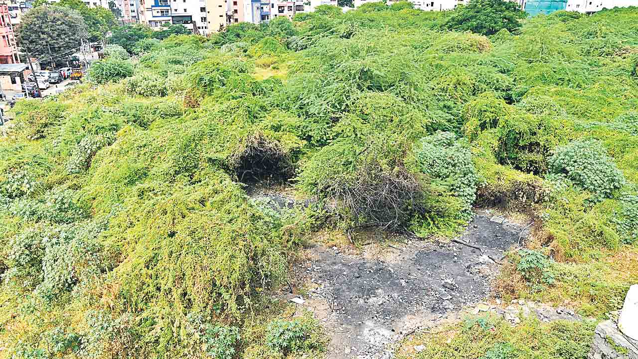 ఆగిన బతుకమ్మకుంట పనులు..!