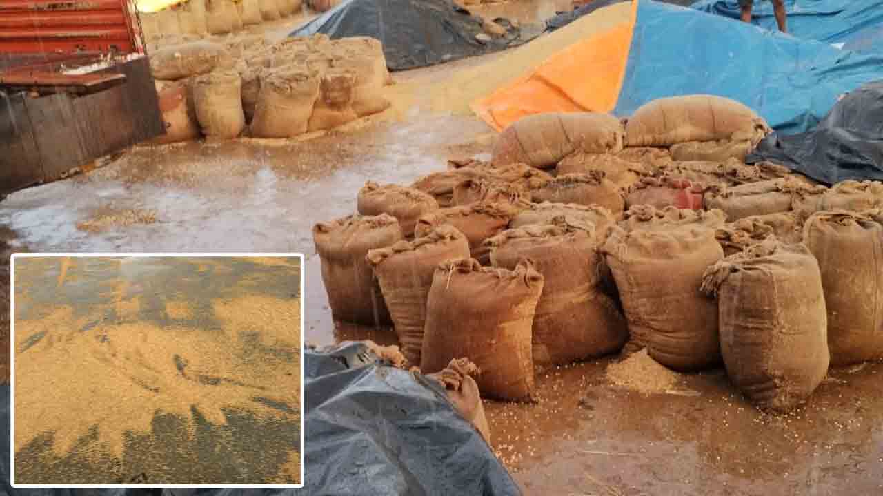 గాలివాన బీభత్సం