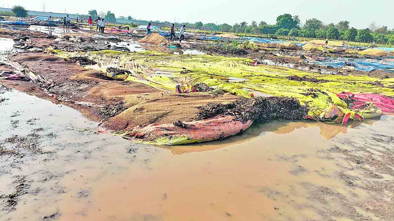 సర్కారు జాప్యం వడ్లు వర్షాణం