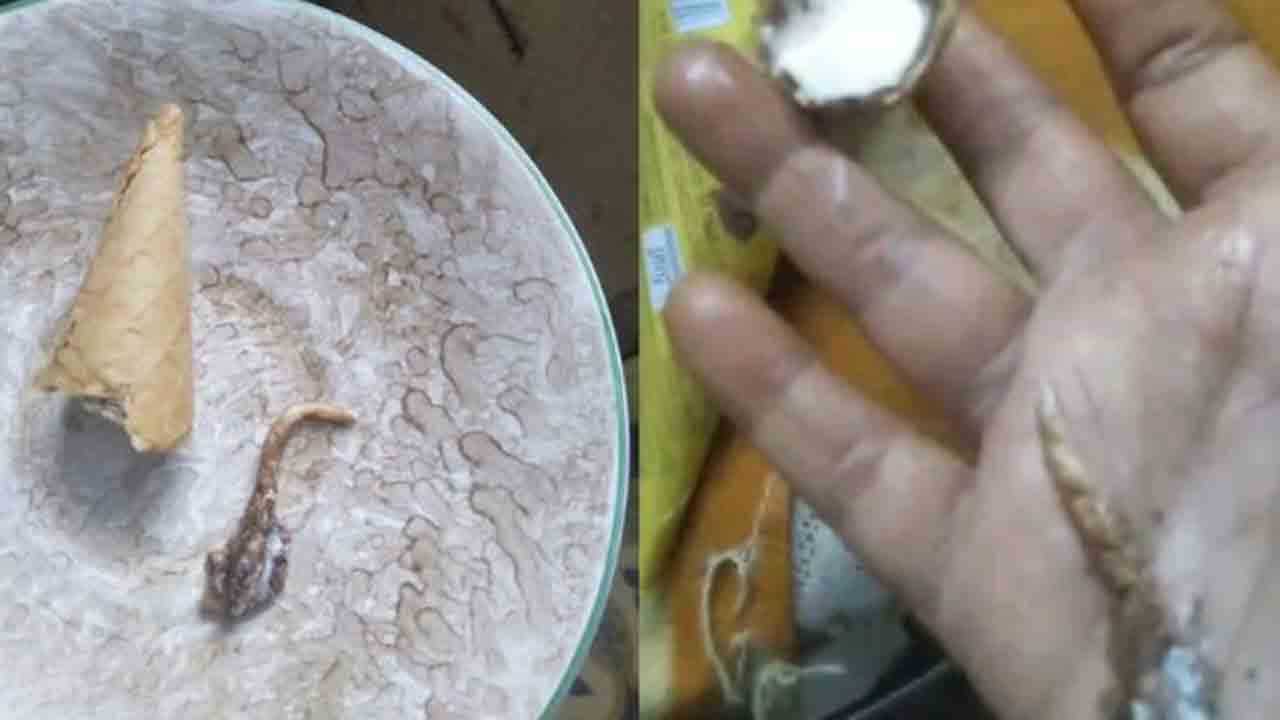 Ice Cream | షాకింగ్‌.. కోన్‌ ఐస్‌క్రీమ్‌లో బల్లి తోక.. తీవ్రమైన కడుపునొప్పితో ఆసుపత్రిపాలైన మహిళ