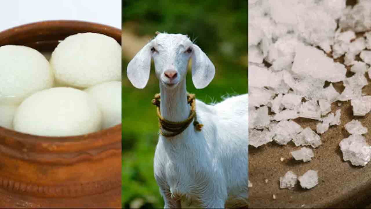 Jabalpur’s Bizarre Thefts | రసగుల్లాలు, ఉప్పు సంచులు, మేకలు చోరీ.. కలవరపరుస్తున్న   వింత దొంగతనాలు