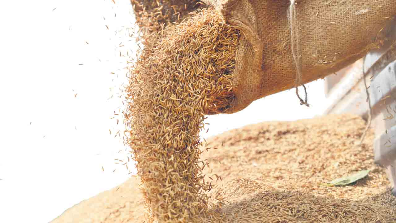 సన్నాలకు బోనస్‌ ఏది?