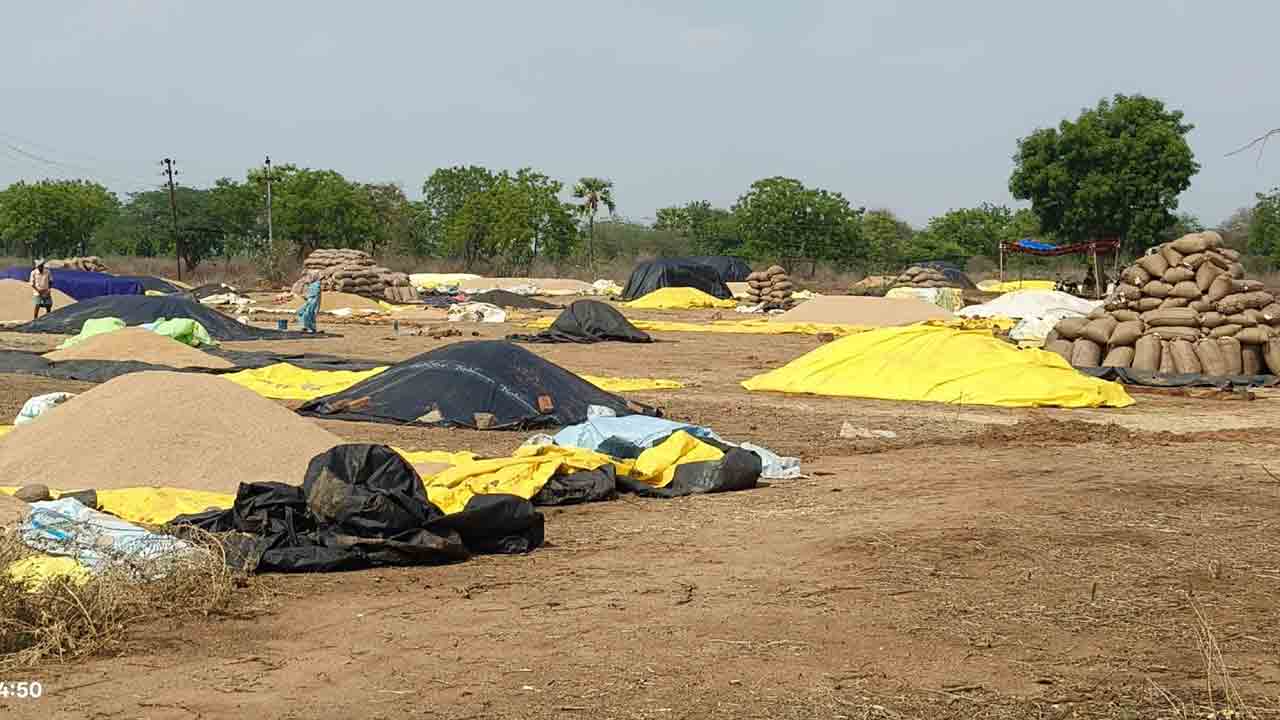 ధాన్యపు గుట్టలు