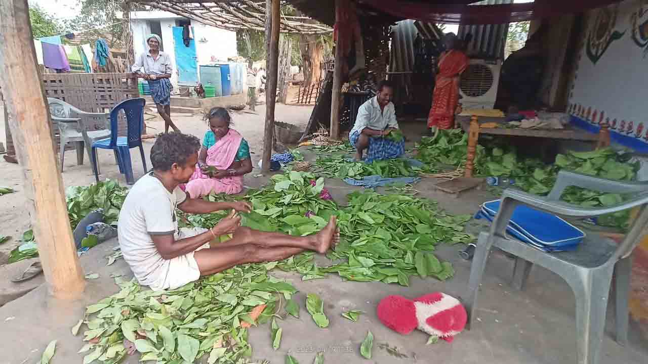 మండే ఎండల్లో మైళ్ల దూరం నడిచి..
