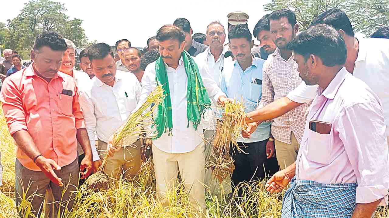వడగండ్ల బాధితులను ప్రభుత్వం ఆదుకోవాలి