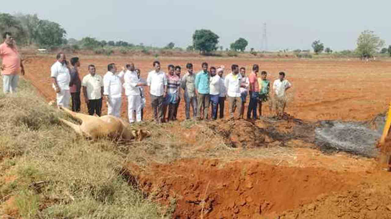 Lightning | కొర్రతండాలో పిడుగు పాటుకు ఎద్దులు మృత్యువాత