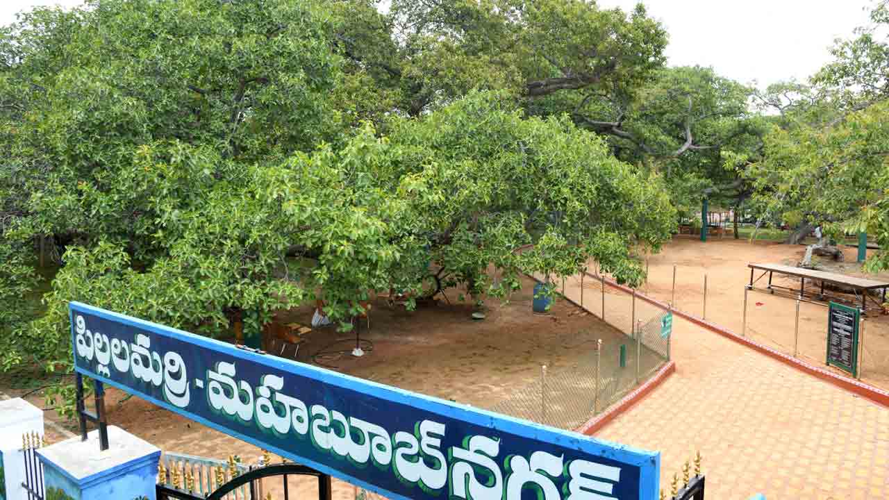 అందానికి ఆతిథ్యం