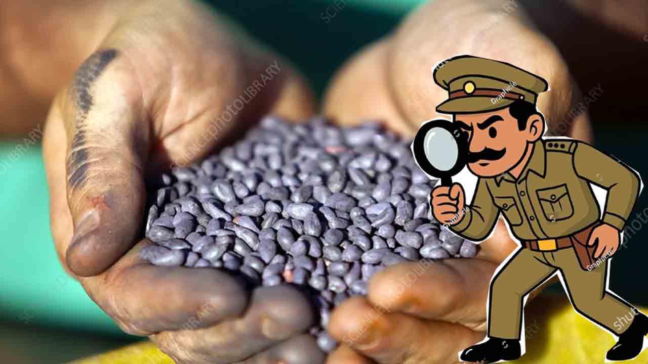 సీడ్‌.. ఫాడ్‌!