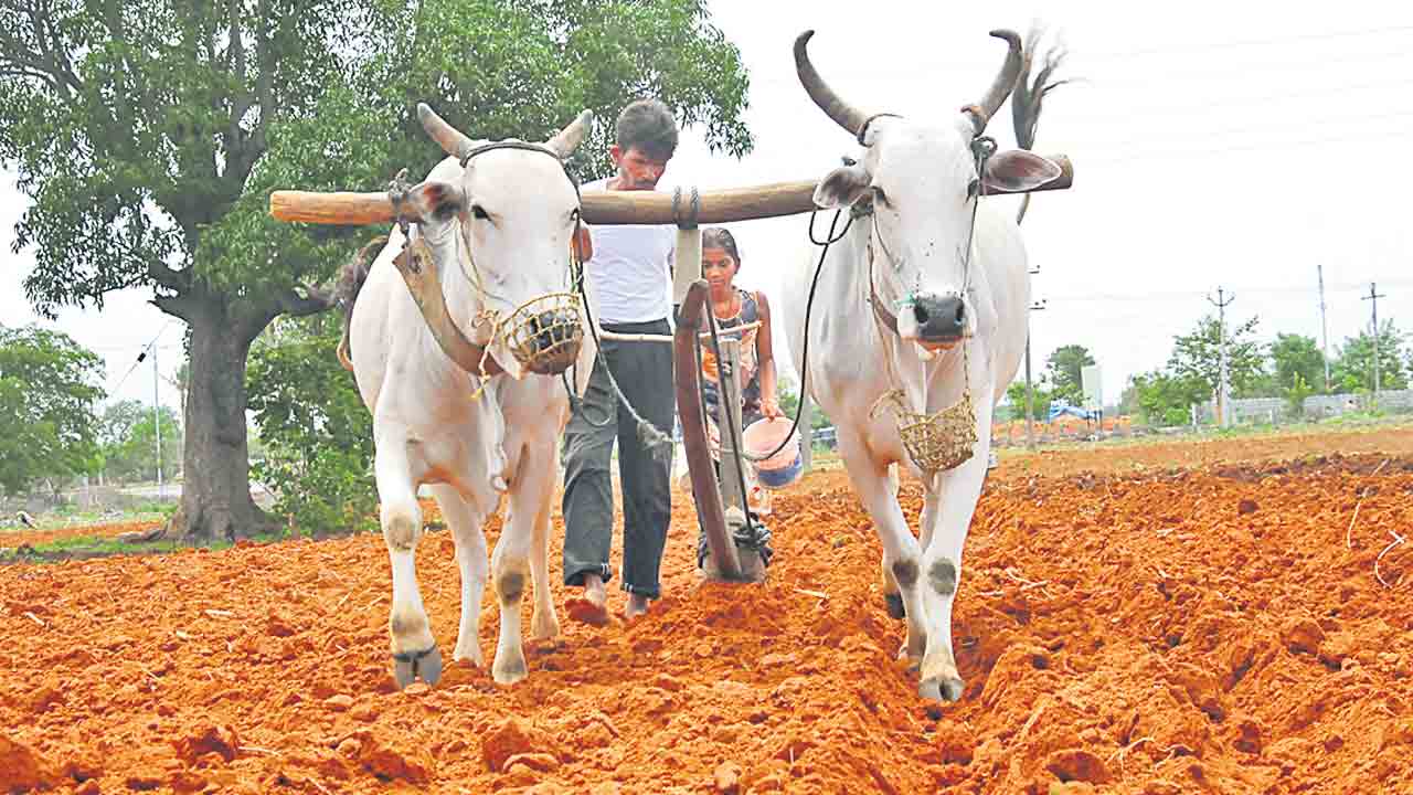 సాగుకు సన్నద్ధం