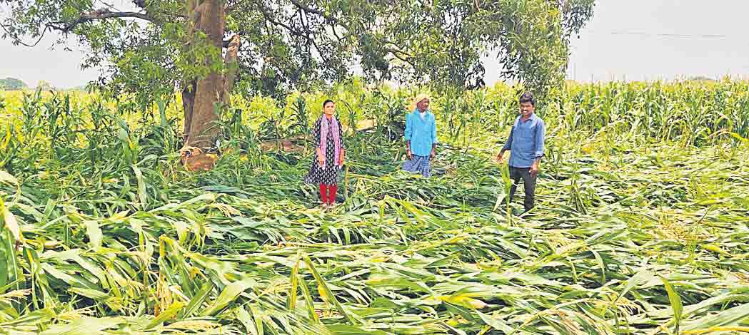 పరిహారం కోసం ఎదురుచూపులు