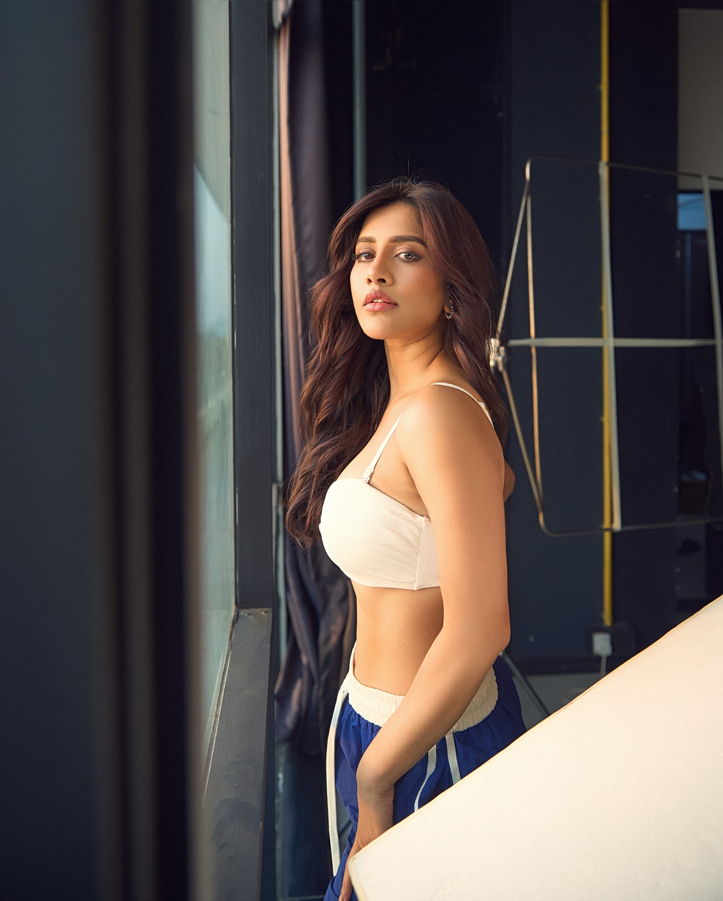Nabha Natesh (7)