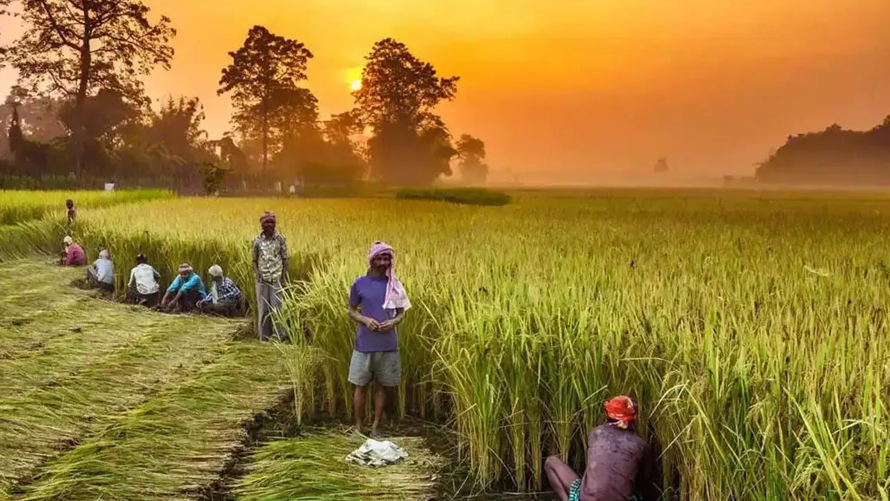 Union Cabinet | రైతులకు గుడ్‌న్యూస్‌.. వరికి మద్దతు ధర పెంచిన కేంద్ర ప్రభుత్వం