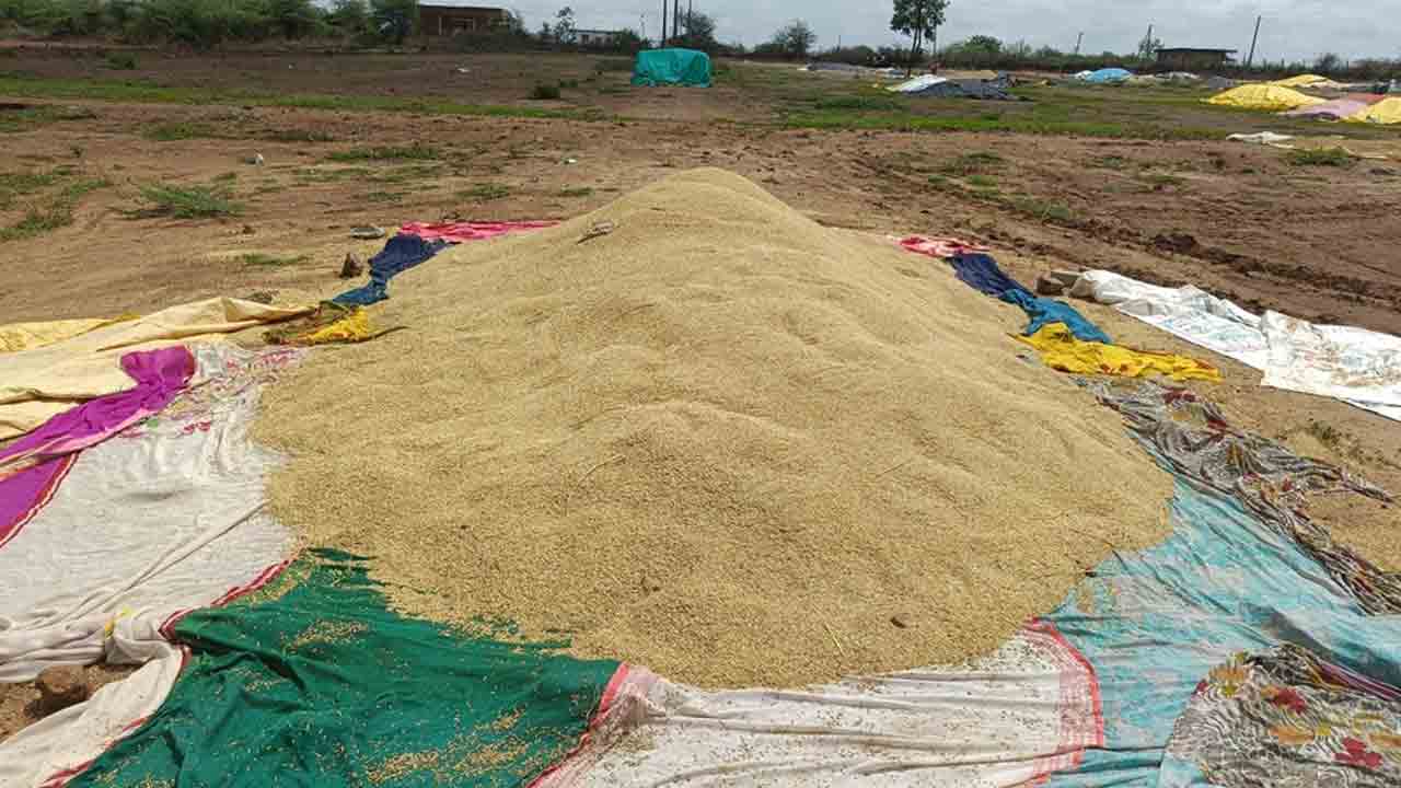 Paddy Procurement | కాంగ్రెస్ నాయకులు , డీసీఎంఎస్‌ నిర్వాహకంతో కల్లాలోనే ధాన్యం 