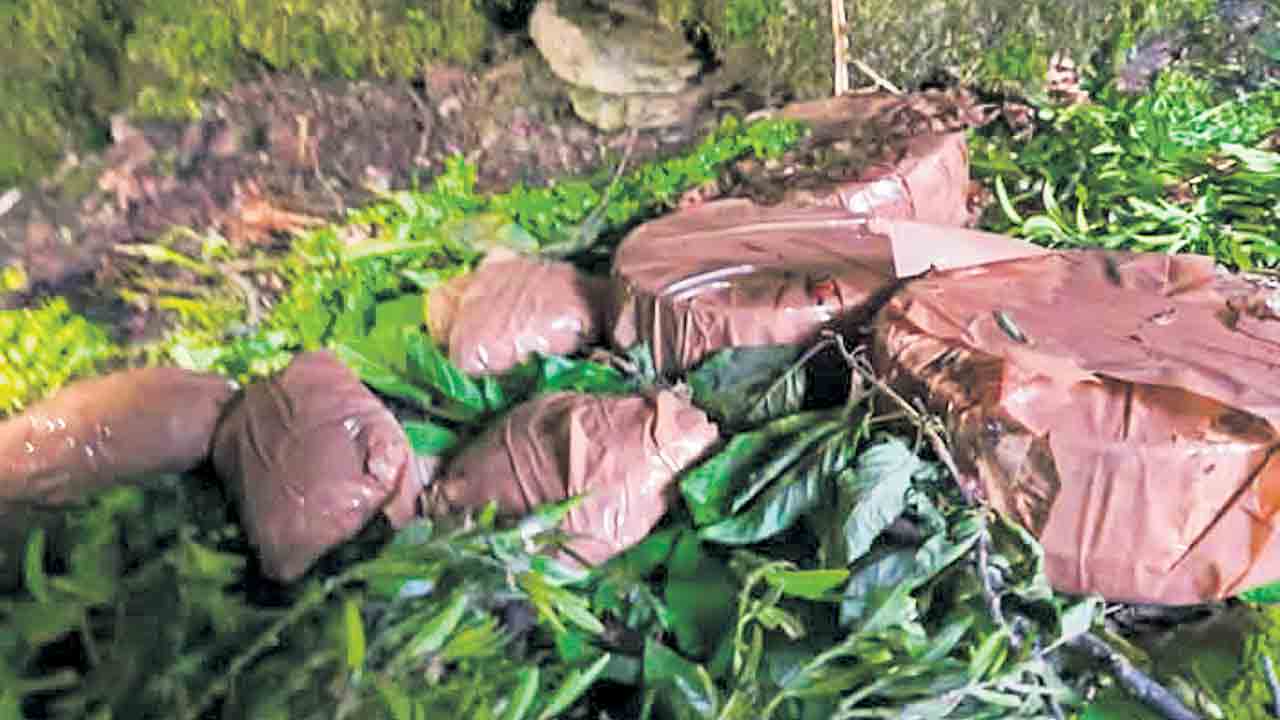 ఉగ్రవాద స్థావరం గుట్టు రట్టు