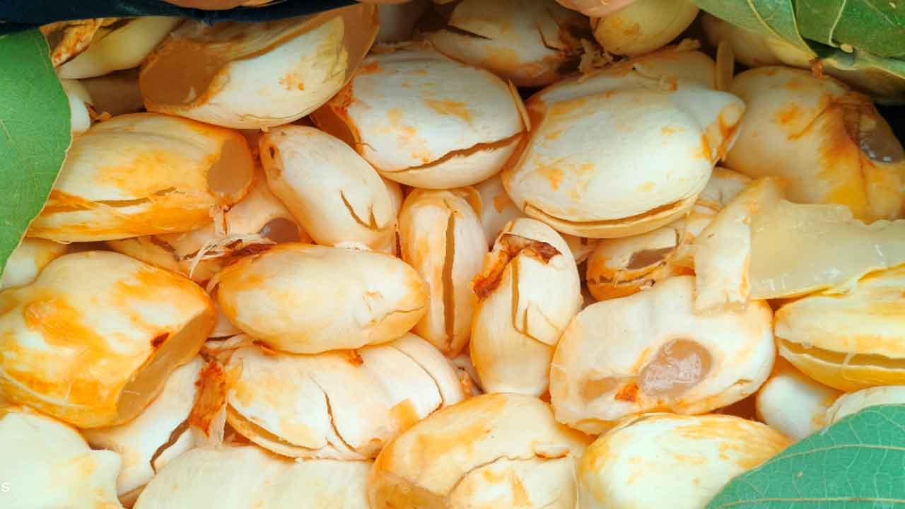 Palm frond | రామాయంపేటలో జోరుగా తాటి ముంజల విక్రయాలు