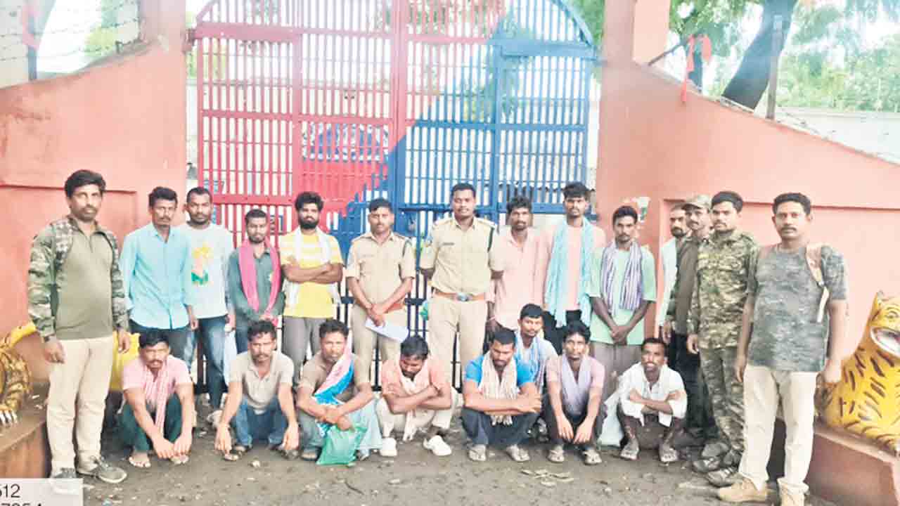 పులిని చంపిన కేసులో 16 మందికి రిమాండ్‌