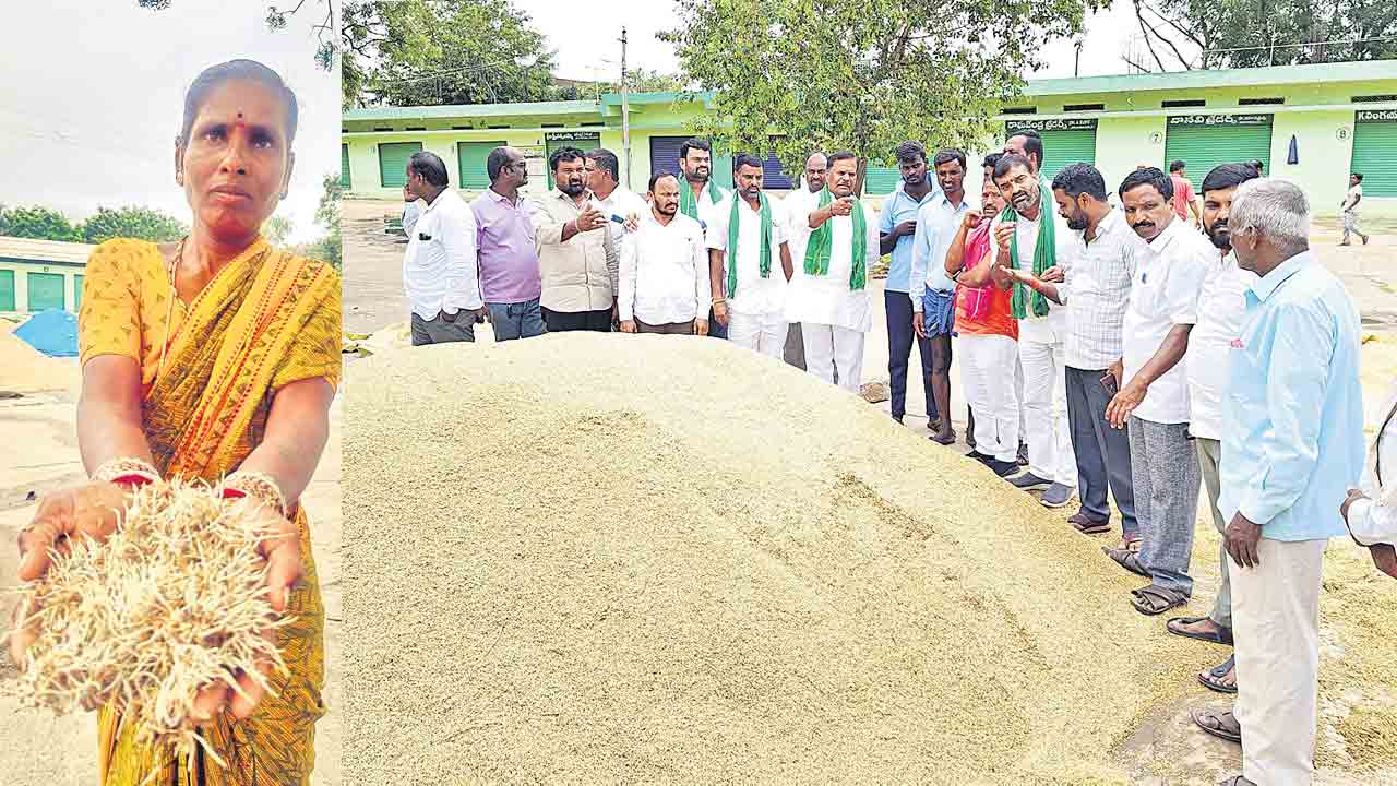 తడిసిన ధాన్యాన్నీ కొనాలి
