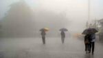 Rains
