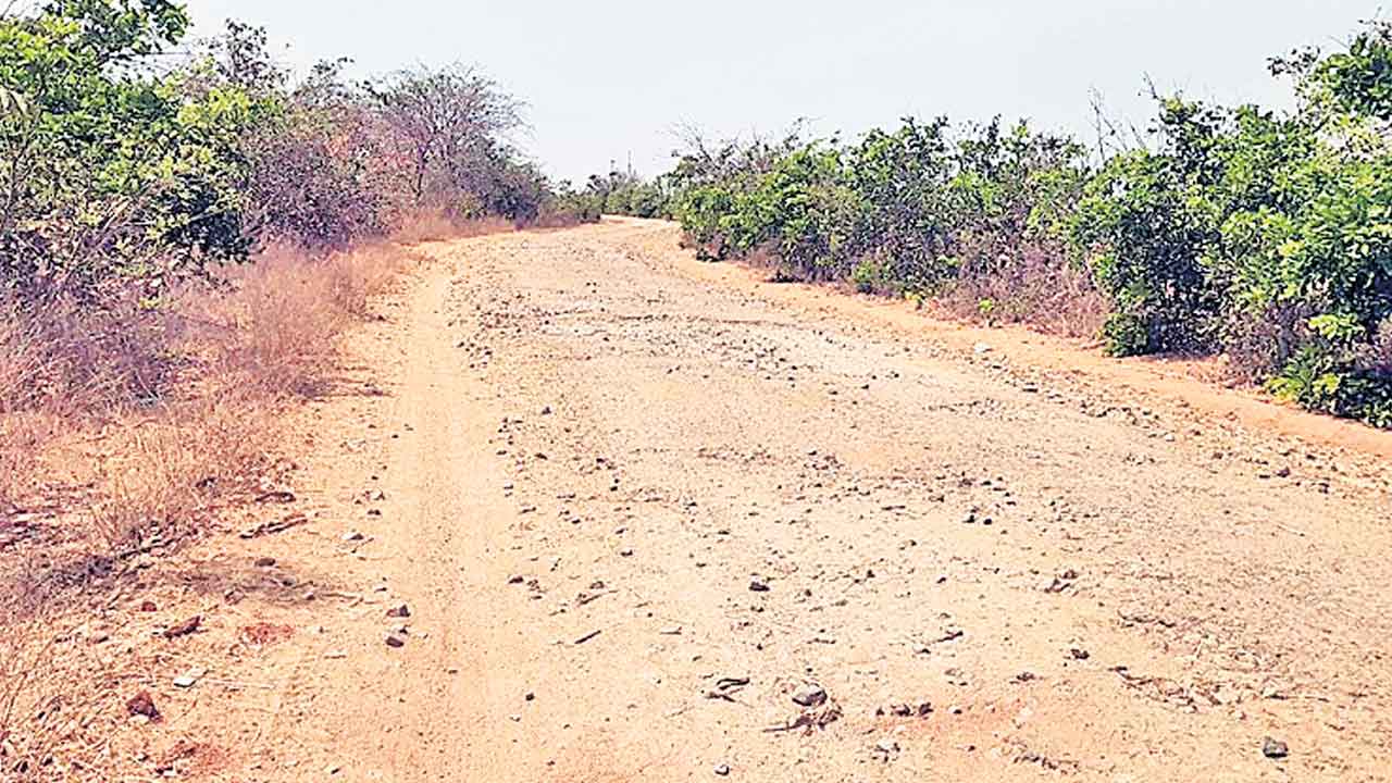 Roads 1