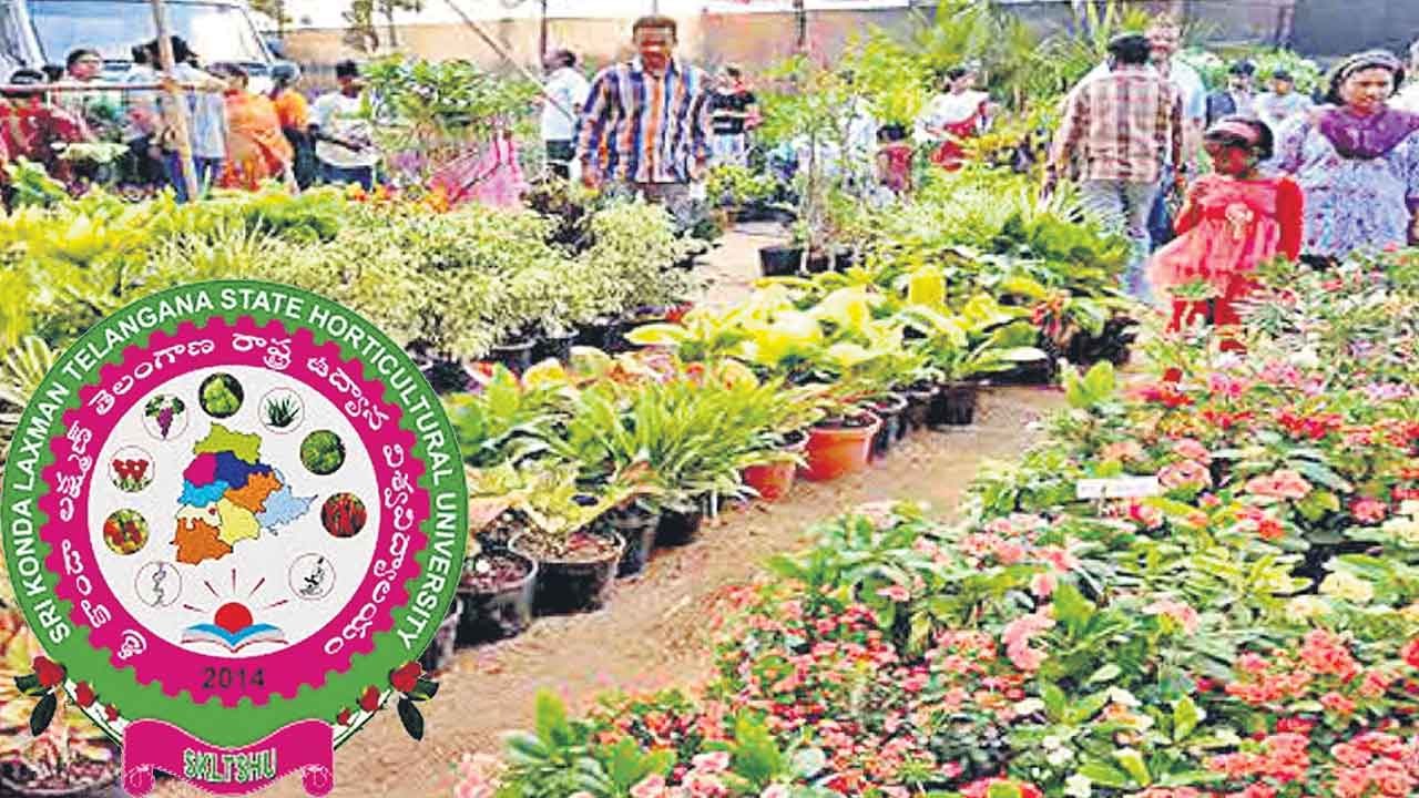 దశ, దిశ లేని ఉద్యానశాఖ