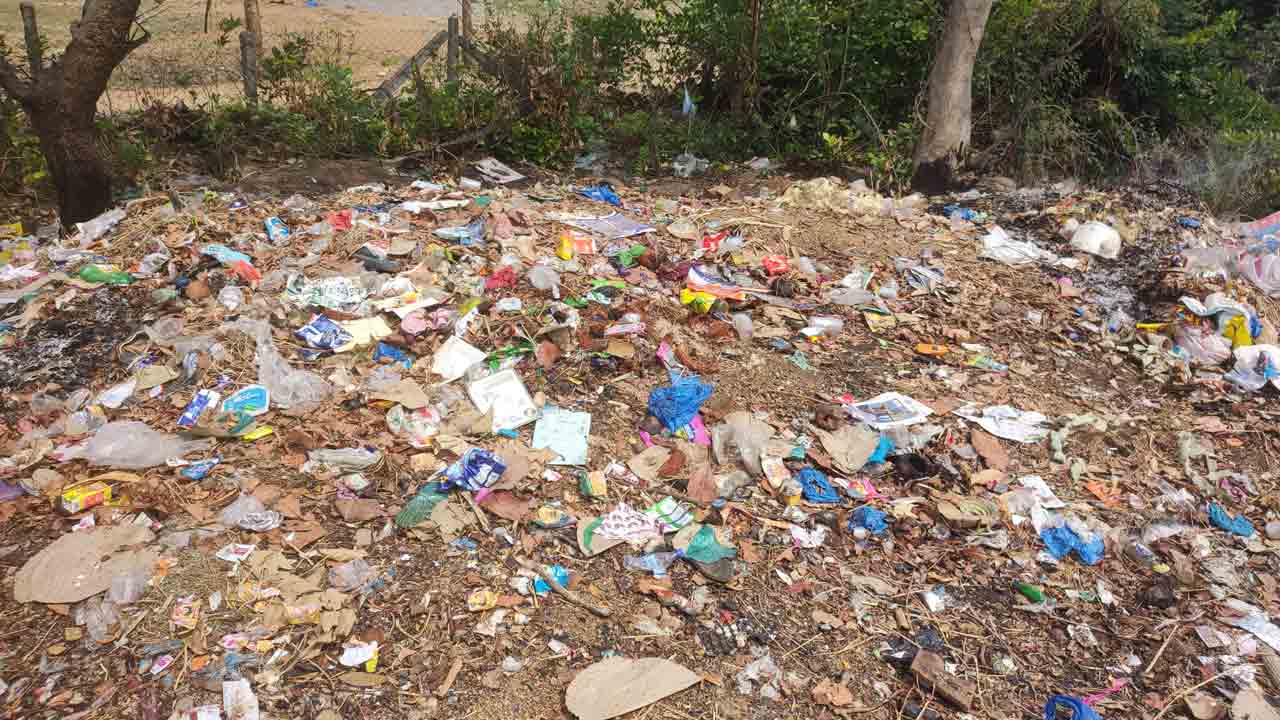 Sanitation | ప్రత్యేకాధికారుల పాలనలో పల్లెల్లో పడకేసిన పారిశుధ్యం