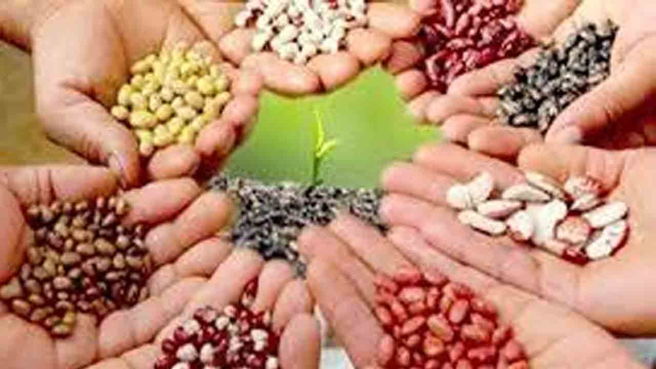 జూన్‌ 2 నుంచి విత్తన వారోత్సవాలు