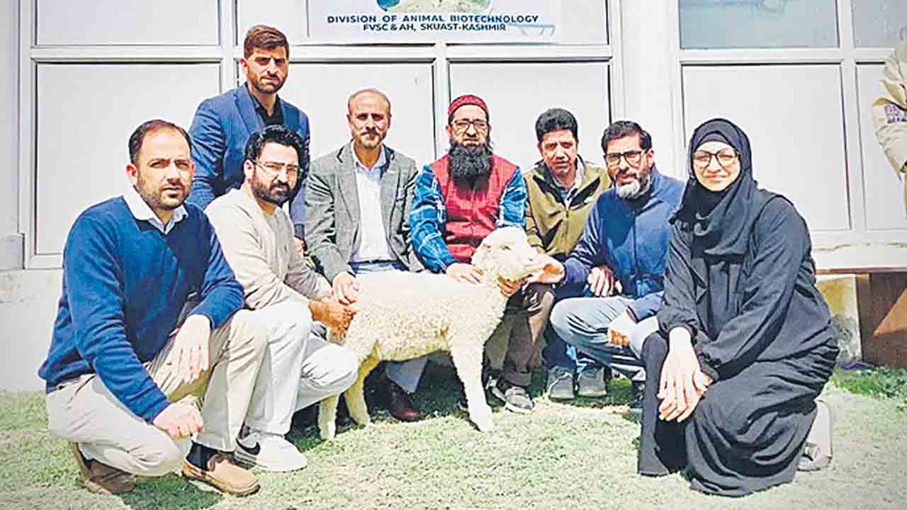 దేశంలోనే తొలి జన్యు మార్పిడి గొర్రె అభివృద్ధి