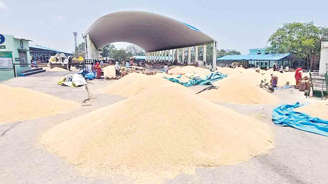 జొన్నల కొనుగోళ్లు