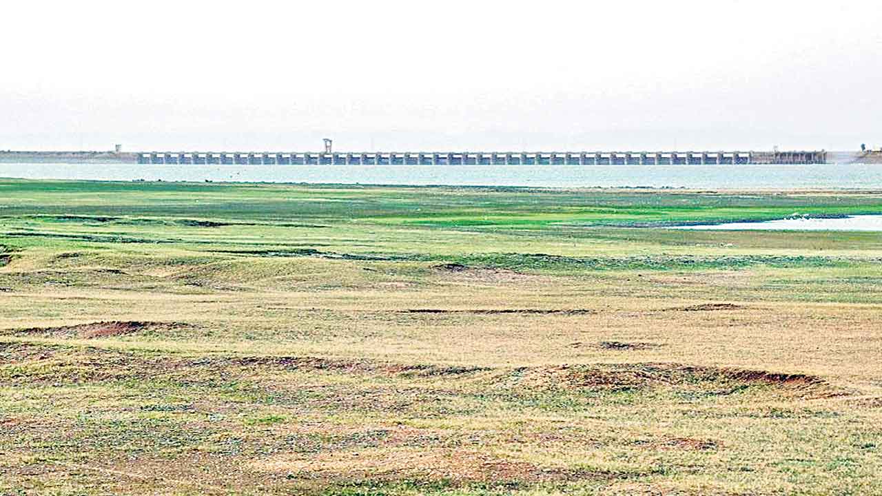 ఎస్సారెస్పీలో తగ్గుతున్న నీటిమట్టం