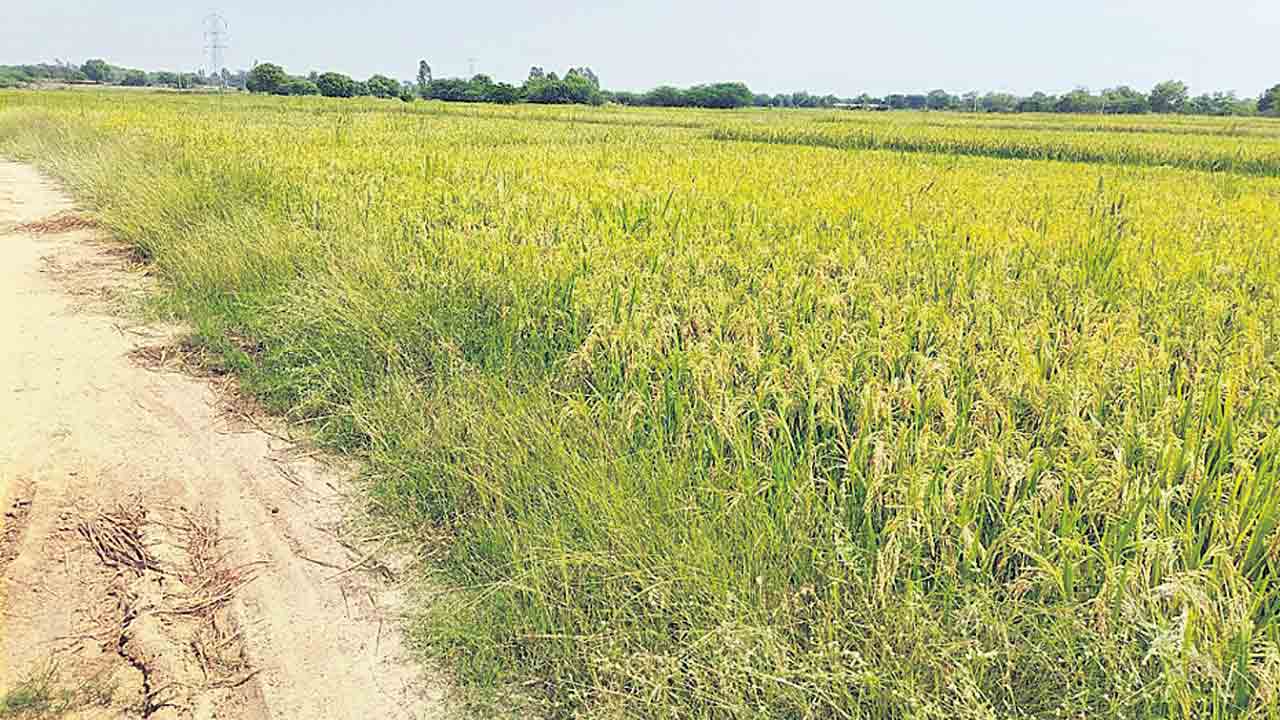 అన్నదాతకు మద్దతు అంతంతే