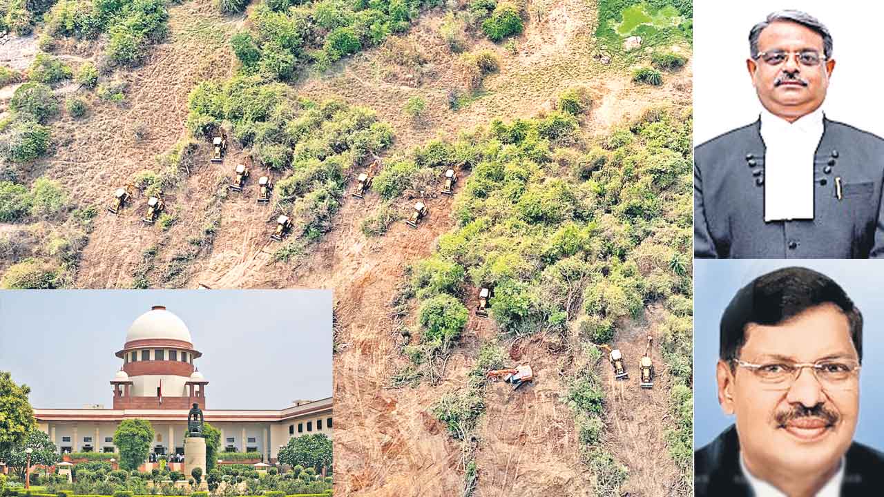 Kancha Gachibowli | కంచను పునరుద్ధరిస్తారా?.. జైలుకెళ్తారా? రేవంత్‌ సర్కారుపై సుప్రీంకోర్టు తీవ్ర ఆగ్రహం