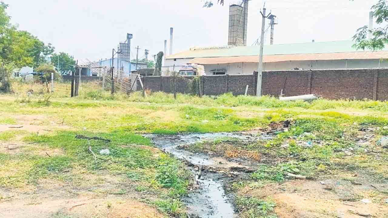 కలెక్టరేట్‌ పక్కనే కంపు..!