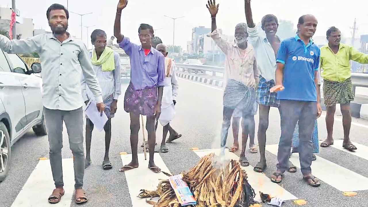 పొగాకు పంటకు నిప్పు