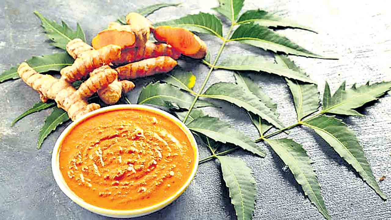 వేసవికి.. వేప విరుగుడు