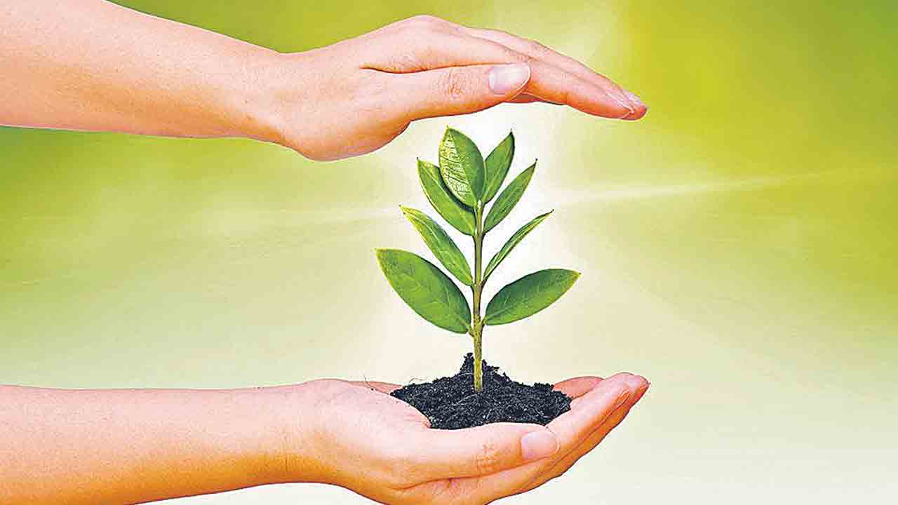 Vanamahotsavam |  వన మహోత్సవంపై నిరుత్సాహం.. మొక్కలు నాటే లక్ష్యాన్ని తగ్గిస్తున్న ప్రభుత్వం!