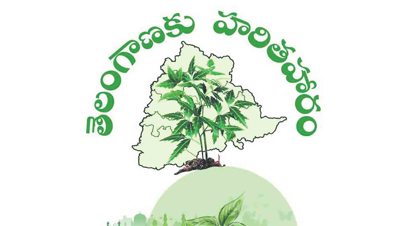 Haritha Haram | మొక్కల పథకానికి మంగళం!.. కేసీఆర్‌ పథకాలు లేకుండా చేయాలన్నదే రేవంత్‌ ప్లాన్‌!