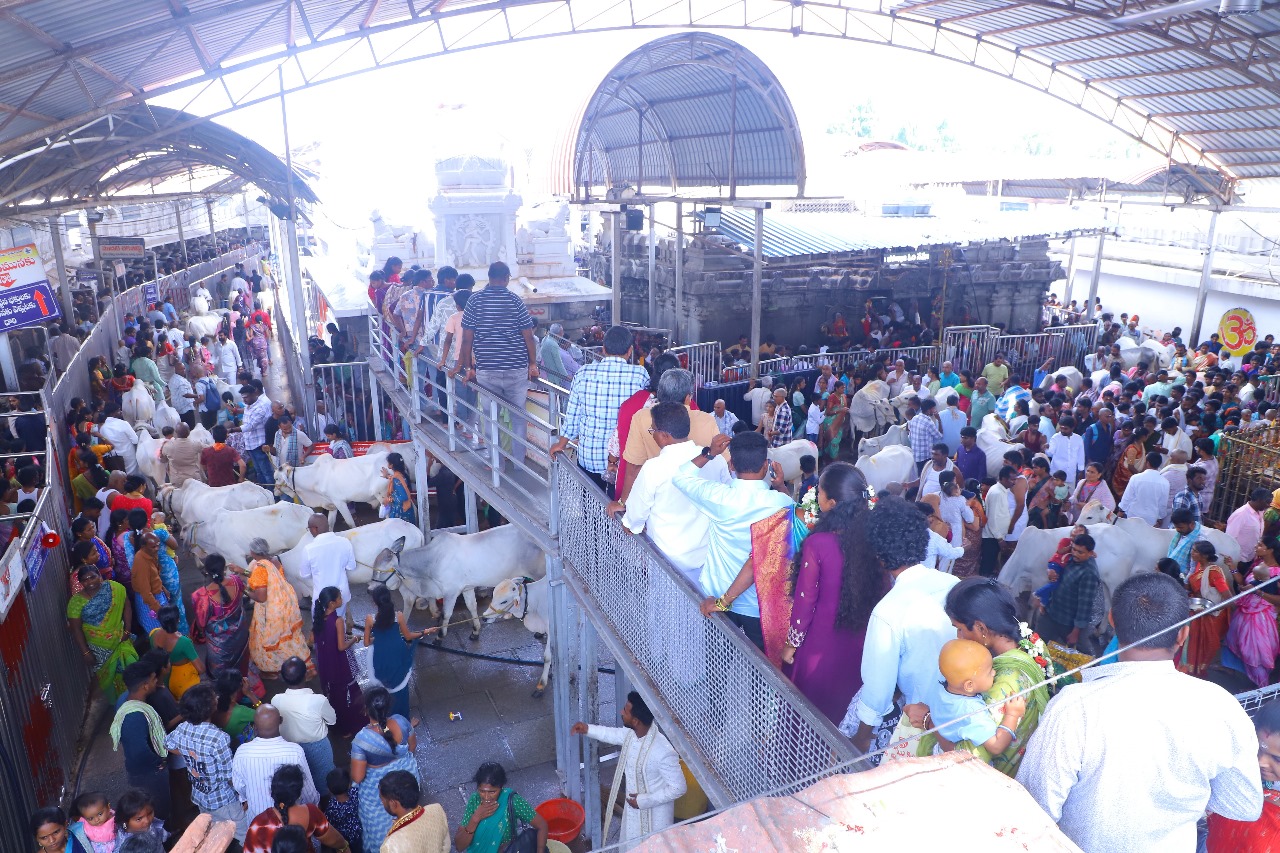 Vemulawada Raja Rajeshwara Swami Temple