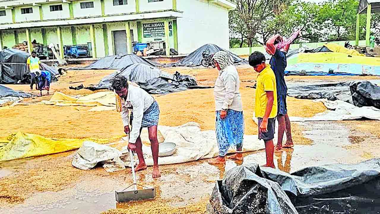 మళ్లీ వానతో రైతుల్లో వణుకు