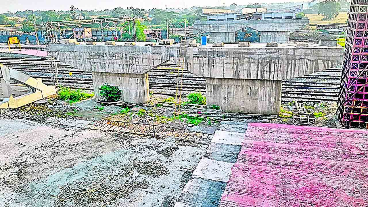 నత్త సిగ్గుపడేలా..