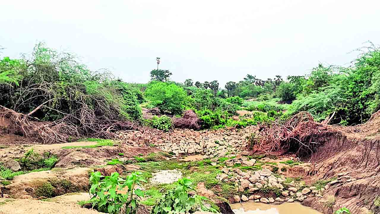చెరువు.. మరమ్మతు కరువు
