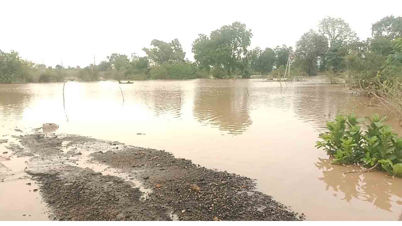Water In Crops